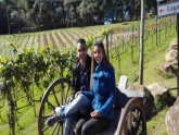 Excursão para São Roque I Rota do Vinho I Angulo Travel